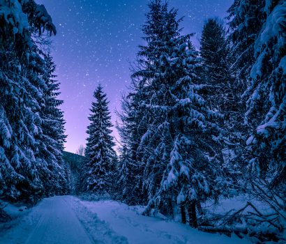 winter